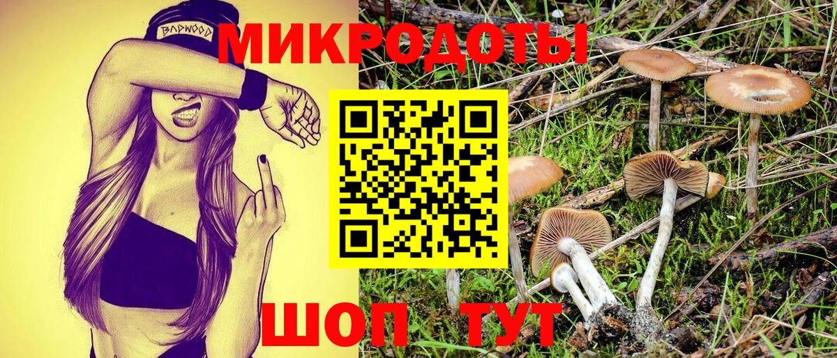 Кимры  купить наркотики сайты  Псилоцибиновые грибы Cubensis  Вход с VPN  Галлюциногенные грибы Psilocybe 