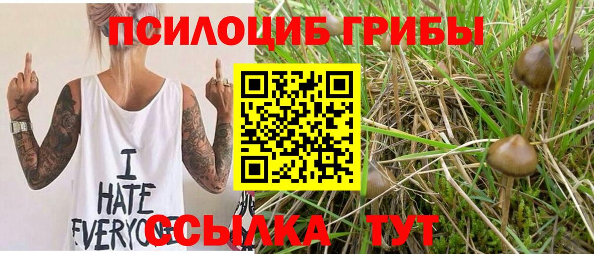 Псилоцибиновые грибы MAGIC MUSHROOMS Кимры